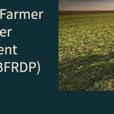 Beginning Farmer and Rancher Development Program (BFRDP)