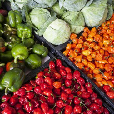 Harvest to Market Grant