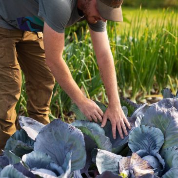 How to build out a regional food system … Heartland Coalition is on it 
